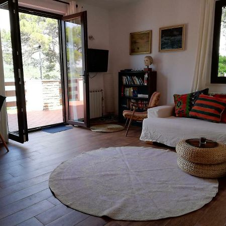 Apartments Vila Marija Grebaštica Zewnętrze zdjęcie